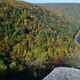 Illustration for article titled Fall Photos 2